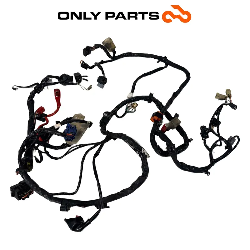 CABLAGGIO ELETTRICO IMPIANTO PRINCIPALE TELAIO HONDA SH 300 2011 / WIRING LOOM