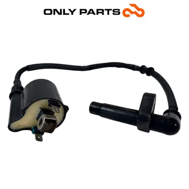 Bobina Accensione Con Cavo E Pipetta Candela Honda SH 300 2011 / Ignition Coil Honda SH 300cc 2011 Grigio usato — foto reale 5