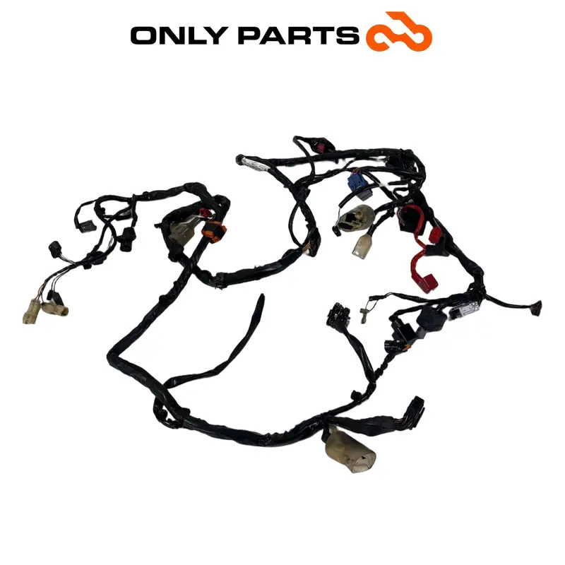 CABLAGGIO ELETTRICO IMPIANTO PRINCIPALE TELAIO HONDA SH 300 2011 / WIRING LOOM — 3