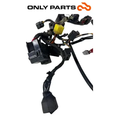 Cablaggio elettrico principale Suzuki Burgman 400cc 2004 Grigio usato — foto reale 2