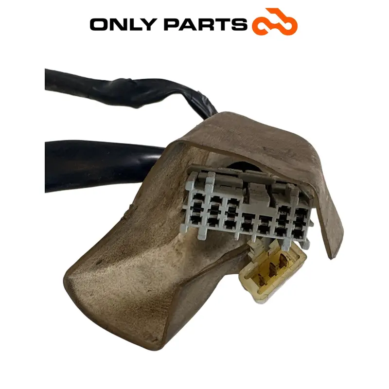 Cablaggio Elettrico STRUMENTAZIONE Rele E Connettori Honda SH 300 2011 Sub Loom — 4