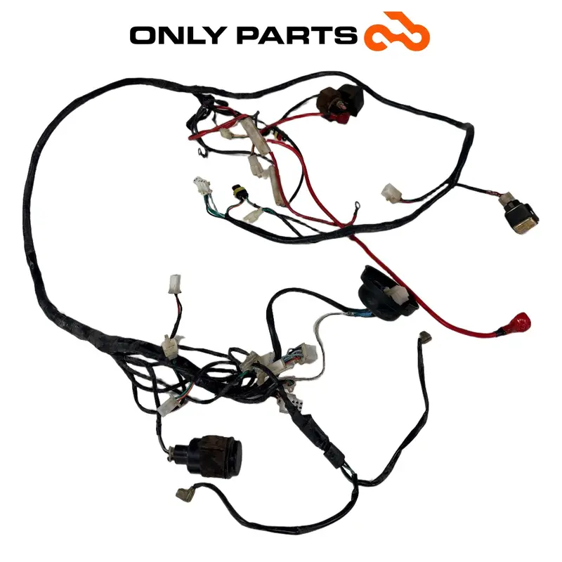 CABLAGGIO IMPIANTO ELETTRICO PRINCIPALE GARELLI XO 125 2010 MAIN WIRING HARNESS — 2