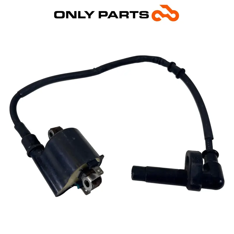 Bobina Accensione Con Cavo E Pipetta Candela Honda SH 300 2011 / Ignition Coil
