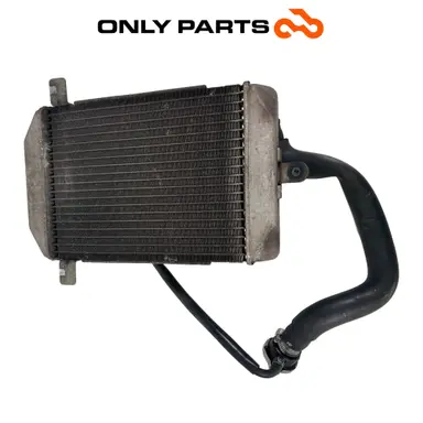 Radiatore acqua + ventola Suzuki Burgman 400cc 2004 Grigio usato — foto reale 5