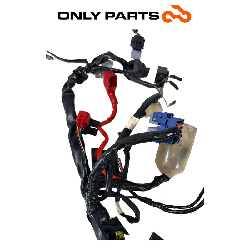CABLAGGIO ELETTRICO IMPIANTO PRINCIPALE TELAIO HONDA SH 300 2011 / WIRING LOOM — 4