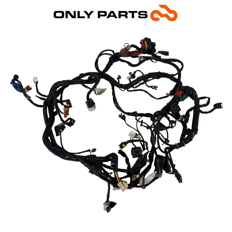 CABLAGGIO ELETTRICO IMPIANTO PRINCIPALE TELAIO PIAGGIO BEVERLY 300 2010 / WIRING — 2