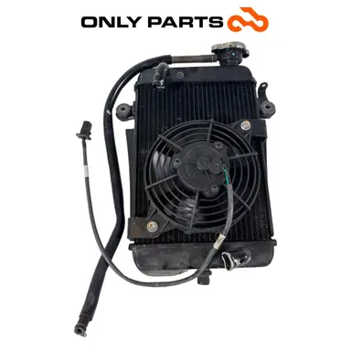 Radiatore acqua + ventola Honda SH 300cc 2011 Grigio usato — foto reale 6