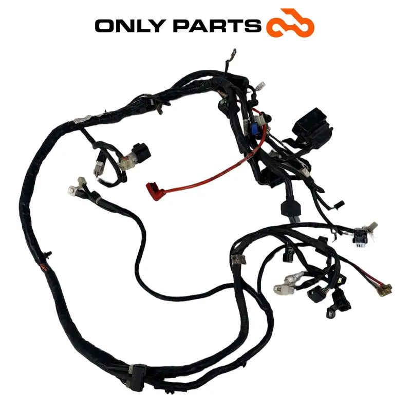 CABLAGGIO IMPIANTO ELETTRICO PRINCIPALE TELAIO RELE YAMAHA XENTER 150 2015 LOOM — 2