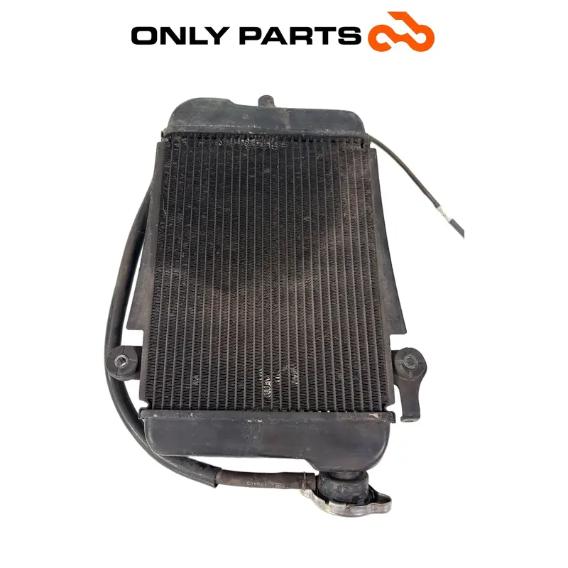 RADIATORE ACQUA CON ELETTROVENTOLA RAFFREDDAMENTO HONDA SH 300 2011 / RADIATOR — 2