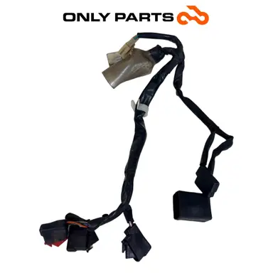 Cablaggio Elettrico Secondario Con Rele E Connettori Honda SH 300 2011 Sub Loom Honda SH 300cc 2011 Grigio usato — foto reale 3