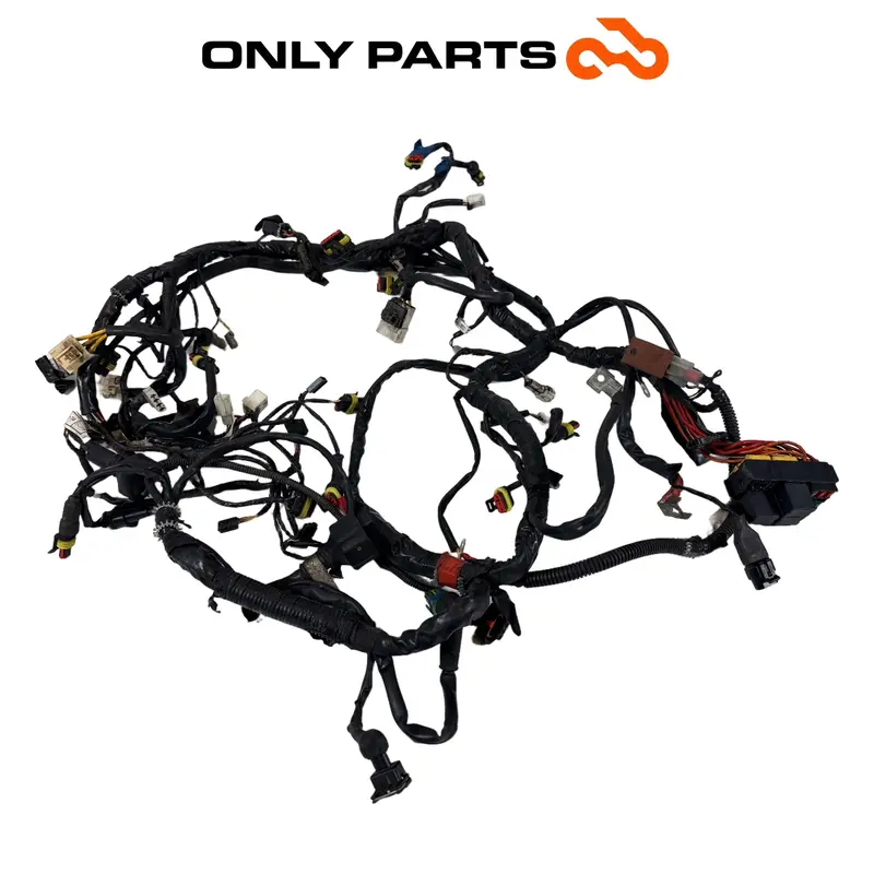 CABLAGGIO ELETTRICO IMPIANTO PRINCIPALE TELAIO PIAGGIO BEVERLY 300 2010 / WIRING