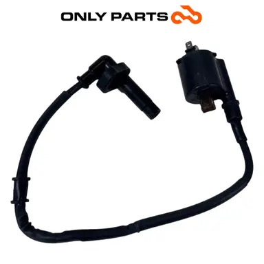 Bobina Accensione Con Cavo E Pipetta Candela Honda SH 300 2011 / Ignition Coil Honda SH 300cc 2011 Grigio usato — foto reale 3