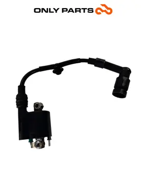 Gebrauchte ZÜNDSPULE MIT KERZENSTECKER HONDA SH 150 2017 Honda SH 150cc 2017 Nero — echtes Foto 2