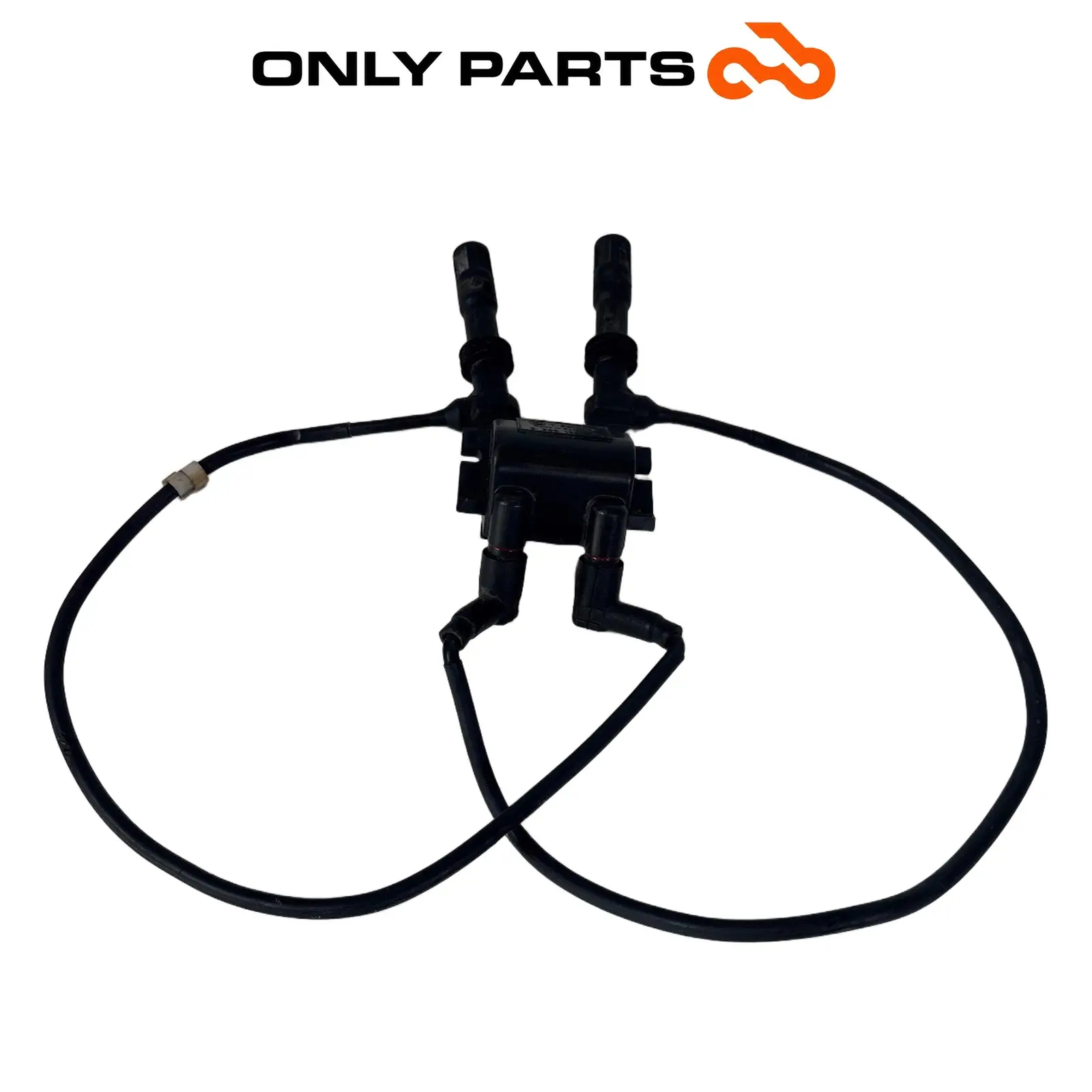 Bobina di accensione doppia con cavi e pipette (ignition coil) BMW R 850 R 1997 BMW R 850 R usato — foto reale 5
