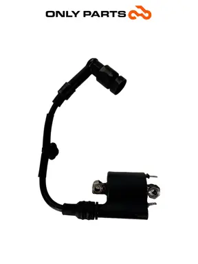 Gebrauchte ZÜNDSPULE MIT KERZENSTECKER HONDA SH 150 2017 Honda SH 150cc 2017 Nero — echtes Foto 3