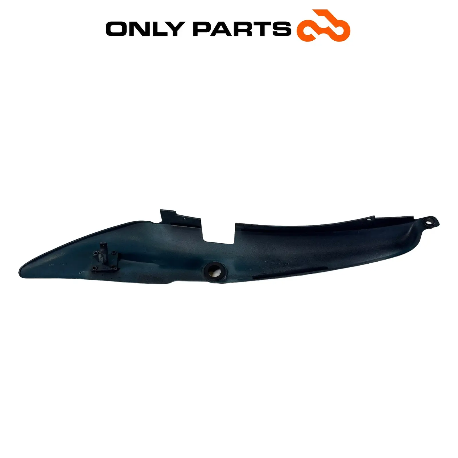 Fianchetto laterale verniciato verde con decalco R850R (side cover) BMW R 850 R 1997 BMW R 850 R usato — foto reale 11