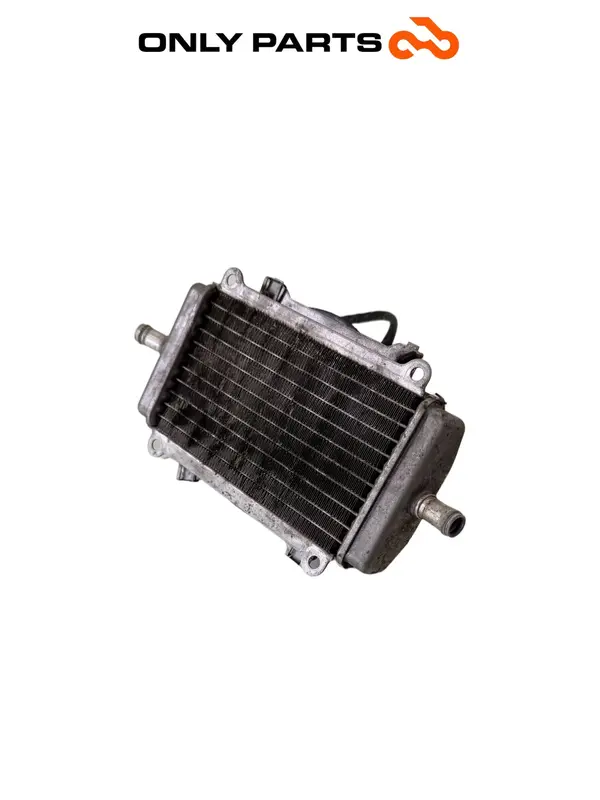 RADIATORE ACQUA + VENTOLA PIAGGIO VESPA GT 200 2003 ORIGINALE COOLER RADIATOR