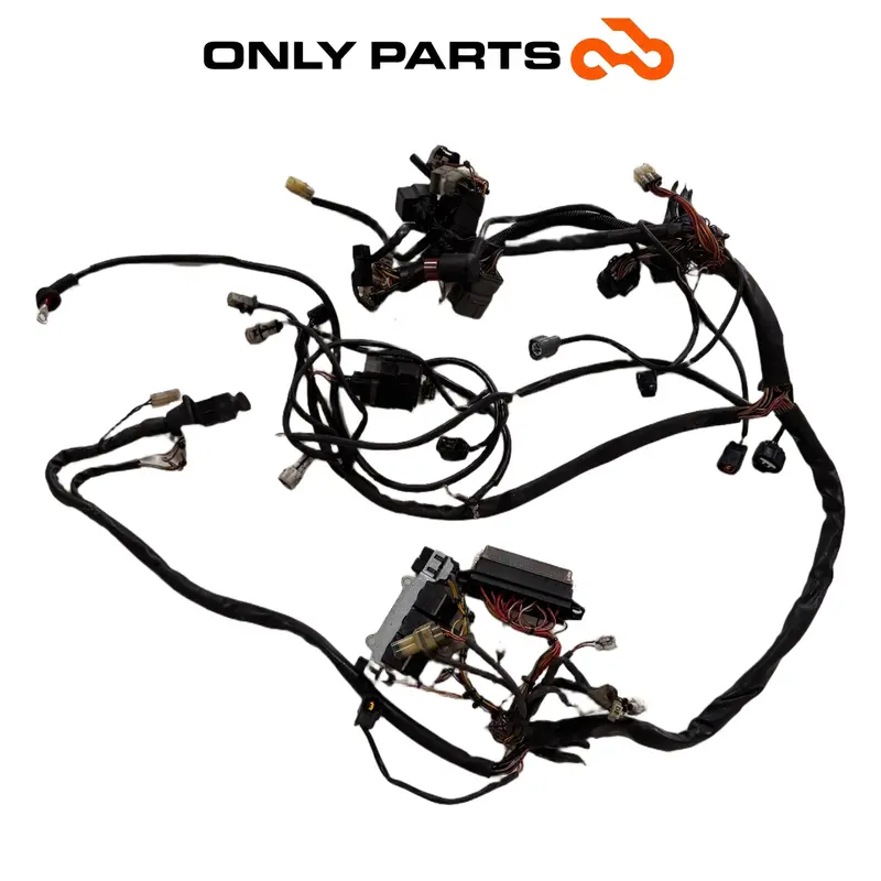IMPIANTO ELETTRICO KTM SUPER DUKE 990 2006 CABLAGGIO PRINCIPALE OEM 61011075100