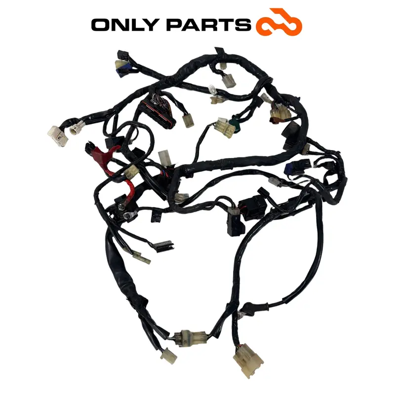 CABLAGGIO ELETTRICO IMPIANTO PRINCIPALE TELAIO YAMAHA YZF-R6 2005 / WIRING LOOM — 4