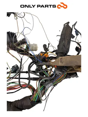 Cablaggio elettrico principale con scatola fusibili e rele (wiring harness) BMW R 850 R 1997 BMW R 850 R usato — foto reale 5