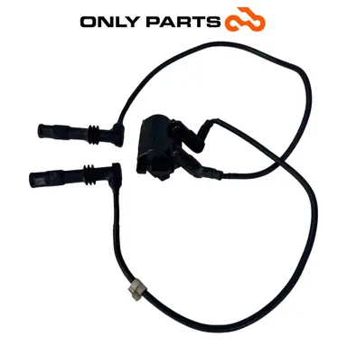 Bobina di accensione doppia con cavi e pipette (ignition coil) BMW R 850 R 1997 BMW R 850 R usato — foto reale 4