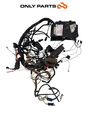 Cablaggio elettrico principale con scatola fusibili e rele (wiring harness) BMW R 850 R 1997 BMW R 850 R usato — foto reale 1