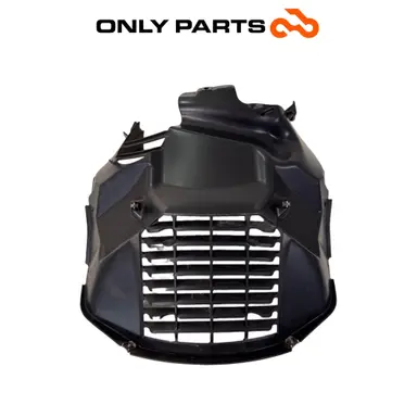 Griglia radiatore BMW C 400 X 400cc 2020 Blu usato — foto reale 1