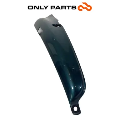 Fianchetto laterale verniciato verde con decalco R850R (side cover) BMW R 850 R 1997 BMW R 850 R usato — foto reale 6