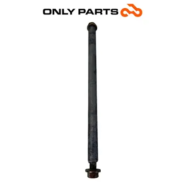 Perno di articolazione forcellone in acciaio (pivot bolt) BMW R 850 R 1997 BMW R 850 R usato — foto reale 3