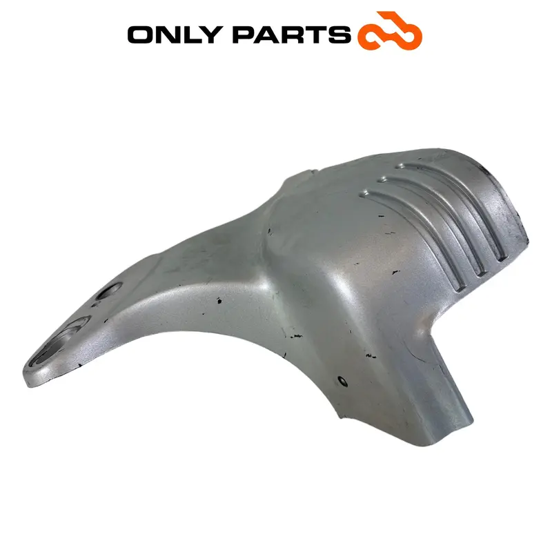 PROTEZIONE PARATESTA TESTATA CILINDRO GRIGIO BMW R 850 R 1997 / CYLINDER GUARD — 3