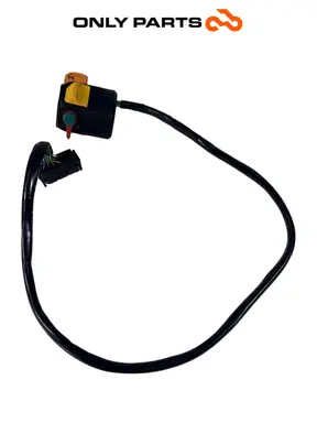 Blocchetto comandi destro frecce e luci (handlebar switch) BMW R 850 R 1997 BMW R 850 R usato — foto reale 4