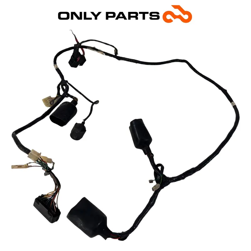 CABLAGGIO ELETTRICO IMPIANTO PRINCIPALE HONDA SH 150 2002 / MAIN WIRING HARNESS