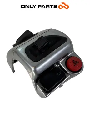 Devioluci SX Piaggio MP3 250cc 2009 Grigio usato — foto reale 1