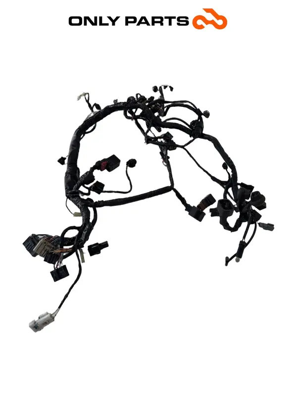 CABLAGGIO ELETTRICO PRINCIPALE / IMPIANTO CENTRALINA KAWASAKI Z 750 CC 2004 — 3
