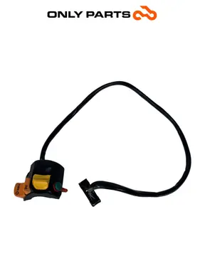 Blocchetto comandi destro frecce e luci (handlebar switch) BMW R 850 R 1997 BMW R 850 R usato — foto reale 3