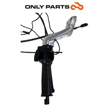 Semimanubrio destro con comando gas, blocchetto, pompa freno e cavi BMW R 850 R 1997 BMW R 850 R usato — foto reale 8