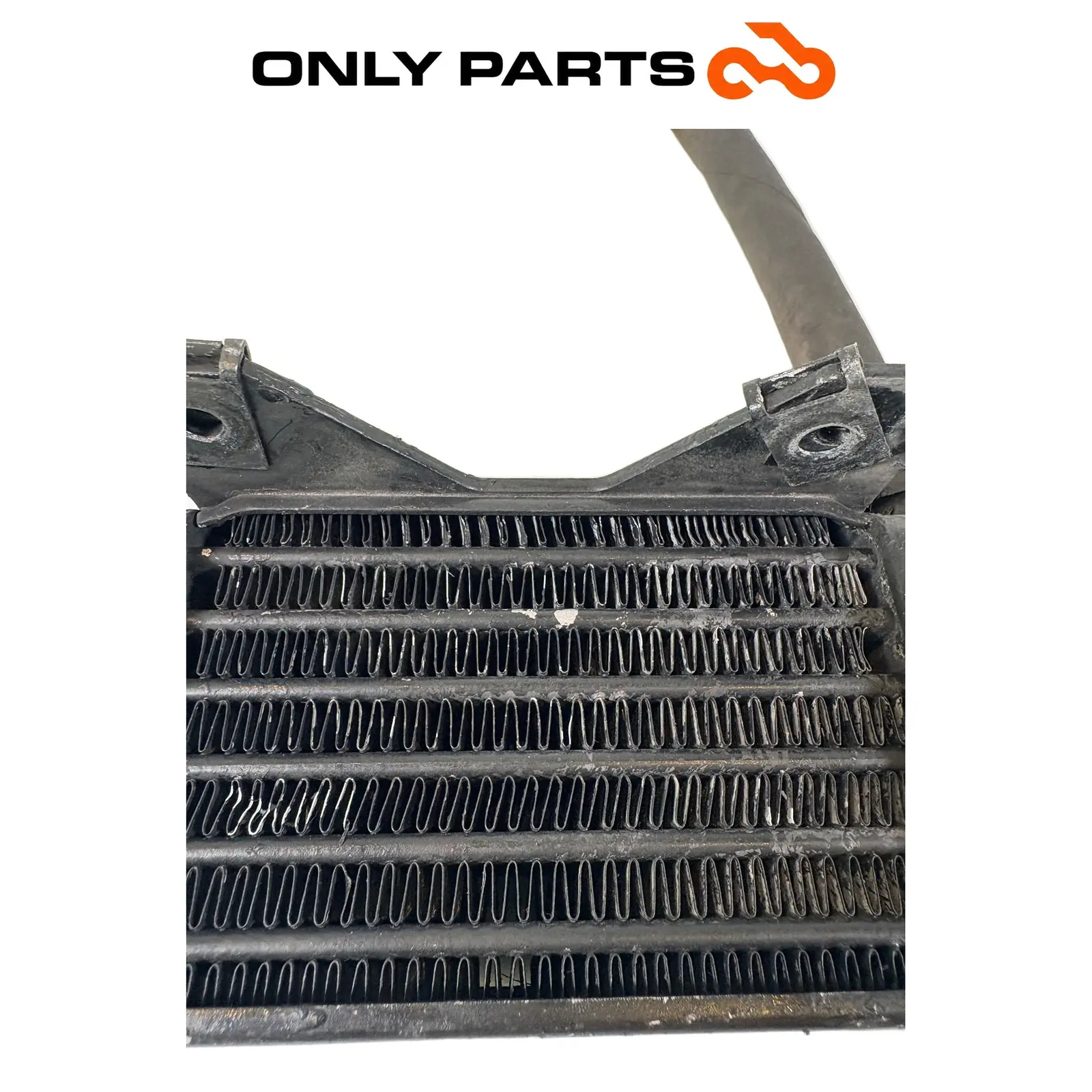 Radiatore olio con tubo (oil cooler) BMW R 850 R 1997 BMW R 850 R usato — foto reale 7