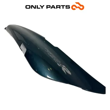 Fianchetto laterale verniciato verde con decalco R850R (side cover) BMW R 850 R 1997 BMW R 850 R usato — foto reale 4