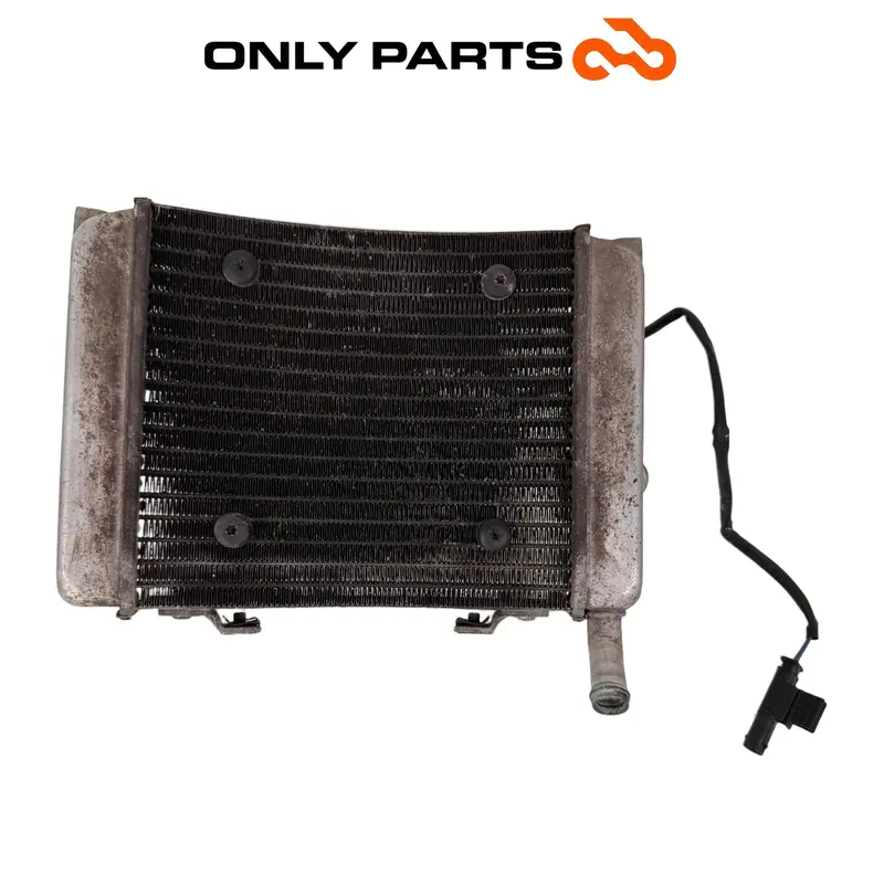 RADIATORE RAFFREDDAMENTO ACQUA + ELETTROVENTOLA BMW C 400 X 2020 17118565186 K09 — 3
