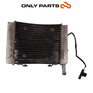 Radiatore acqua + ventola BMW C 400 X 400cc 2020 Blu usato — foto reale 3