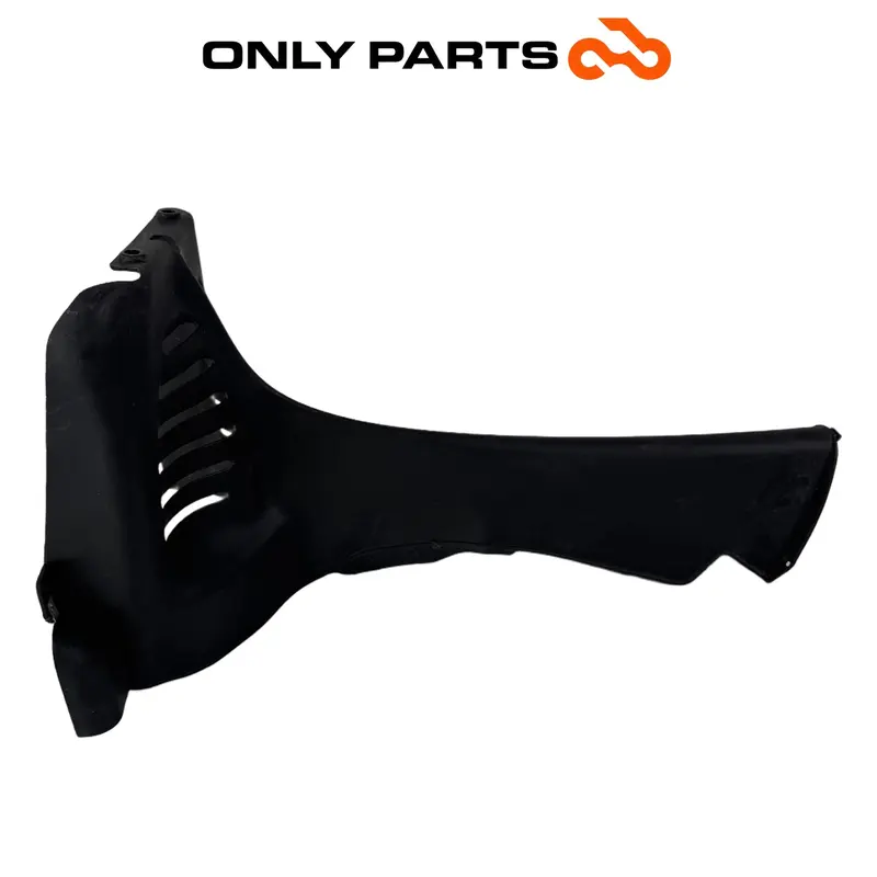 COVER PARASPRUZZI PROTEZIONE RADIATORE PIAGGIO MP3 250 2009 / RADIATOR SHROUD — 5