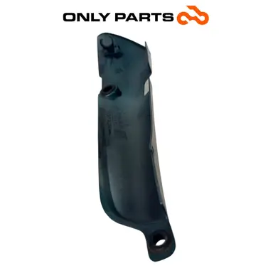Fianchetto laterale verniciato verde con decalco R850R (side cover) BMW R 850 R 1997 BMW R 850 R usato — foto reale 10