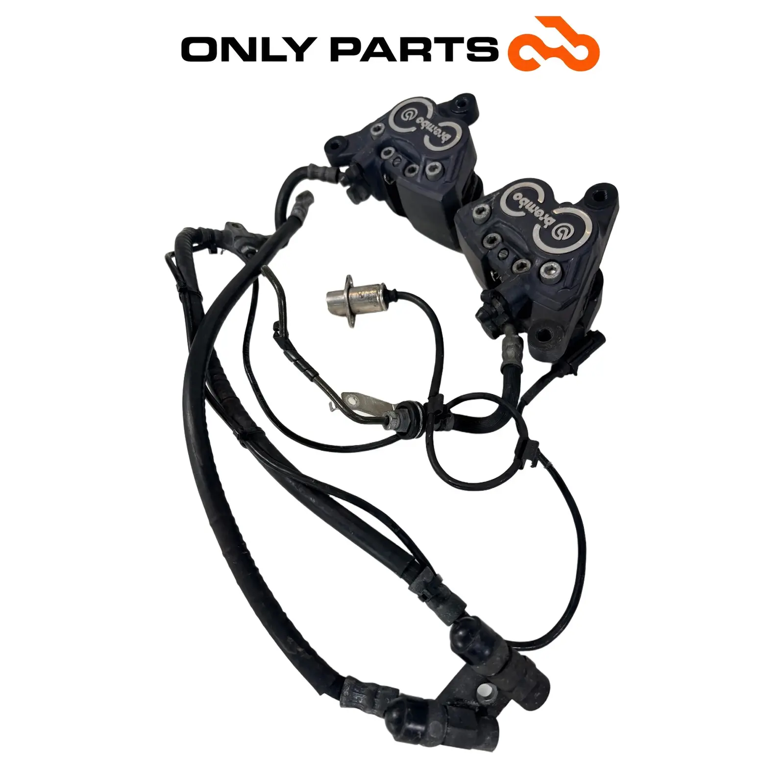 Coppia pinze freno anteriori Brembo con tubi (front brake calipers) BMW R 850 R 1997 BMW R 850 R usato — foto reale 3