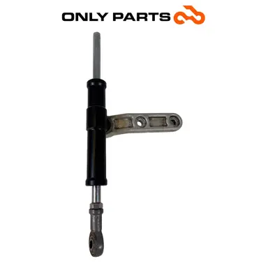 Ammortizzatore di sterzo con staffa (steering damper) BMW R 850 R 1997 BMW R 850 R usato — foto reale 3