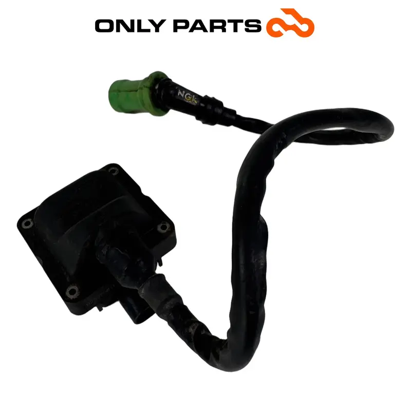 BOBINA ACCENSIONE CON CAVO E PIPETTA PIAGGIO MP3 250 2009 / IGNITION COIL ASSY
