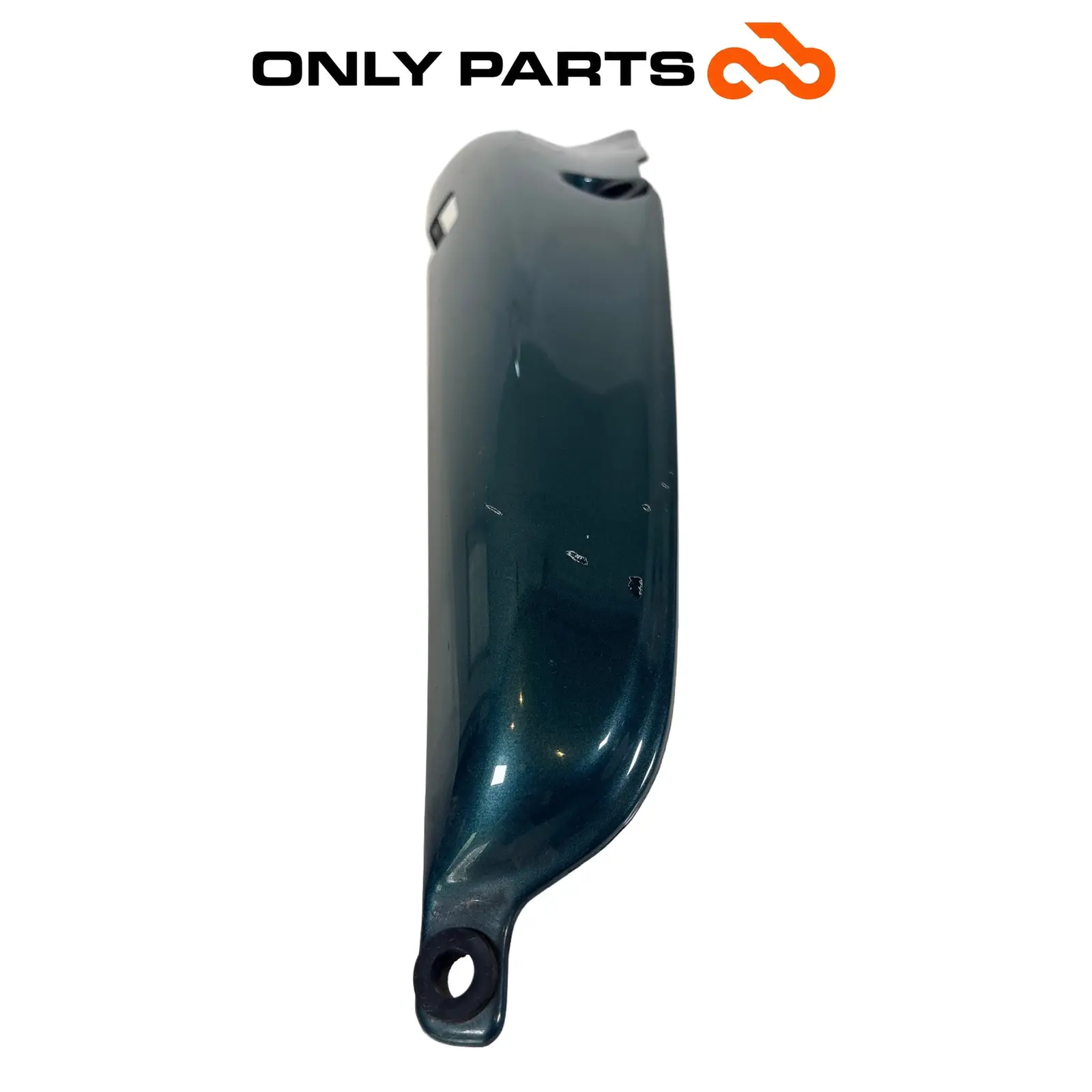 Fianchetto laterale verniciato verde con decalco R850R (side cover) BMW R 850 R 1997 BMW R 850 R usato — foto reale 9