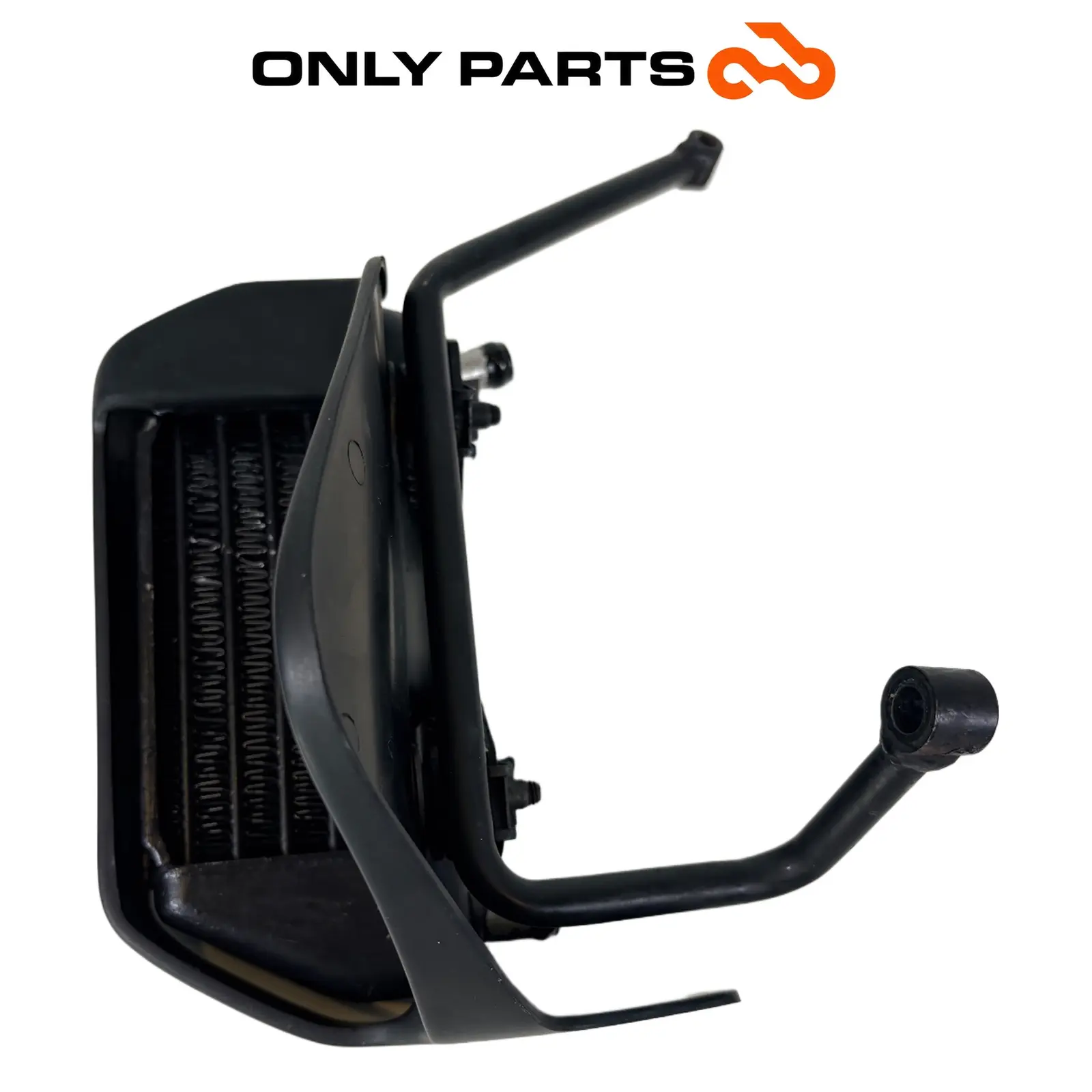 Radiatore olio con convogliatore e staffe (oil cooler) BMW R 850 R 1997 BMW R 850 R usato — foto reale 8