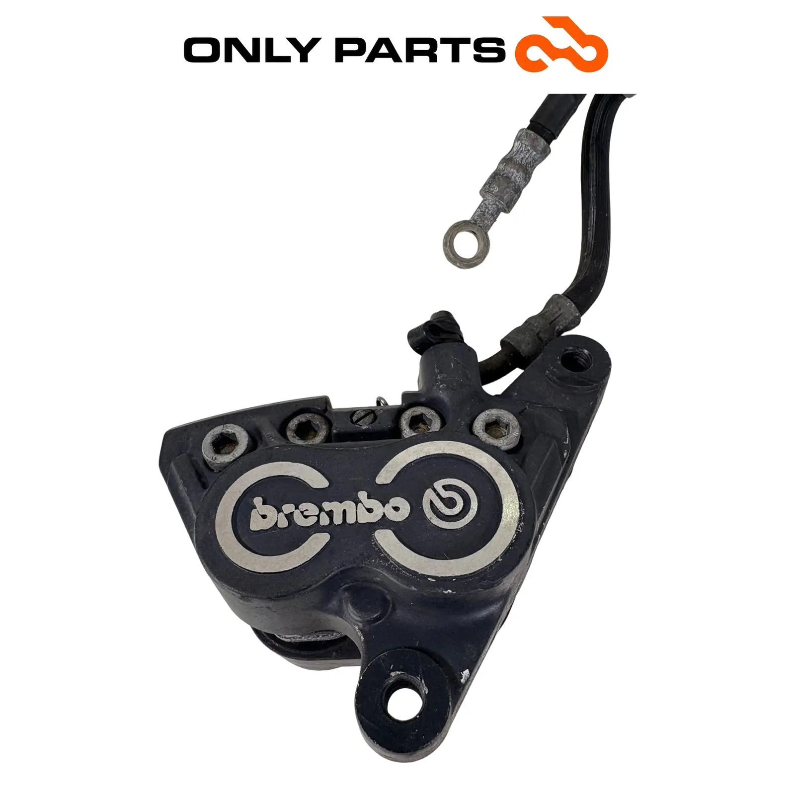 Coppia pinze freno anteriori Brembo con tubi (front brake calipers) BMW R 850 R 1997 BMW R 850 R usato — foto reale 5