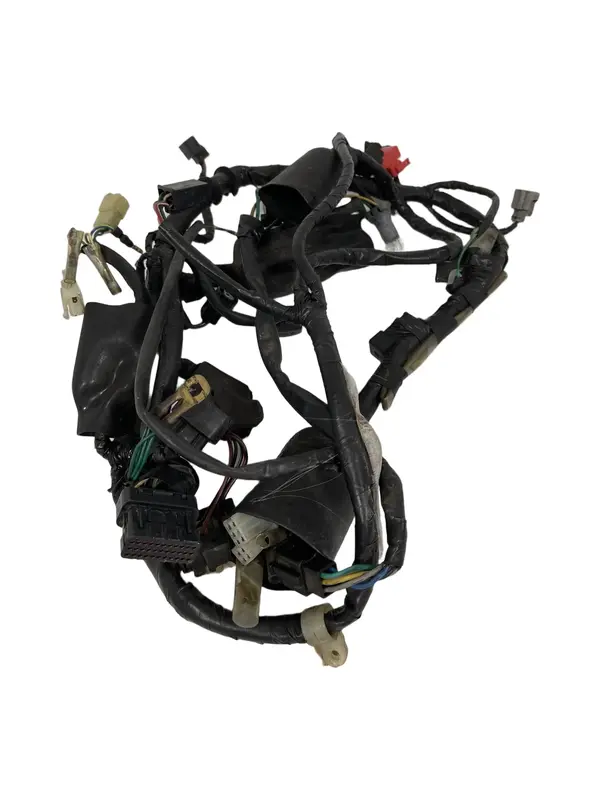 CABLAGGIO IMPIANTO ELETTRICO PRINCIPALE HONDA CBF 125 2009 / MAIN WIRING LOOM
