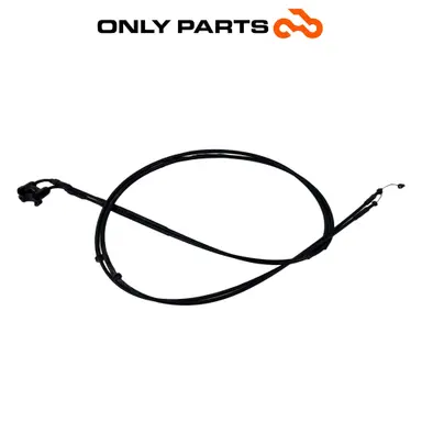 Чифт жила за газта Aprilia Scarabeo 300 2010 OEM Aprilia Scarabeo 300cc 2010 Bianco употребявана — истинска снимка 1